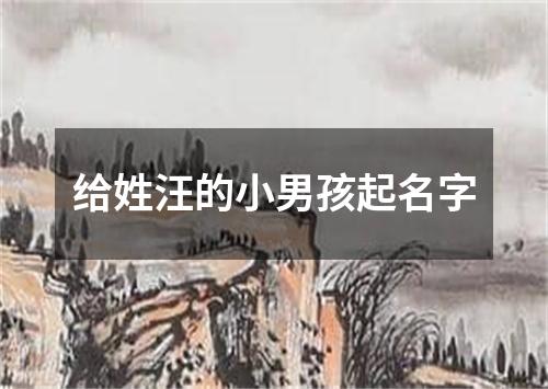 给姓汪的小男孩起名字