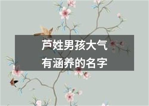 芦姓男孩大气有涵养的名字