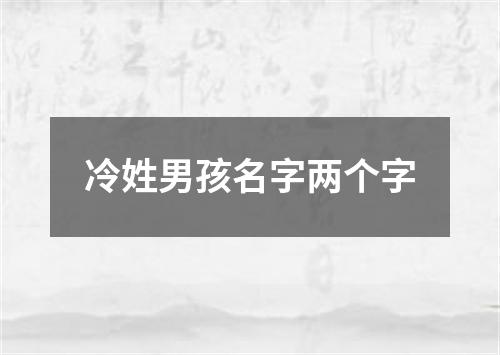 冷姓男孩名字两个字