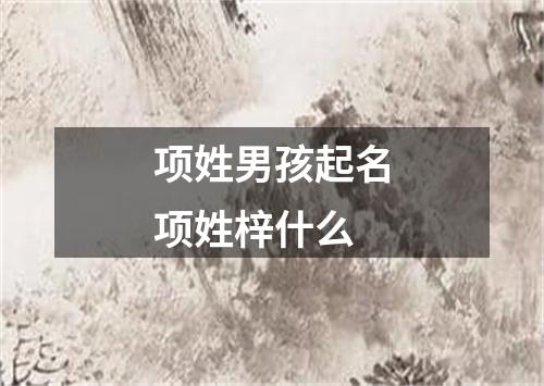 项姓男孩起名项姓梓什么