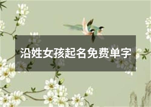 沿姓女孩起名免费单字