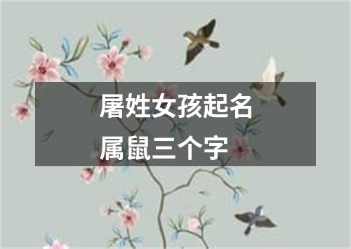 屠姓女孩起名属鼠三个字