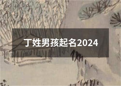 丁姓男孩起名2024