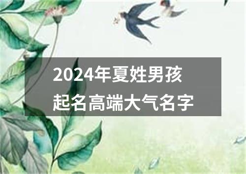 2024年夏姓男孩起名高端大气名字