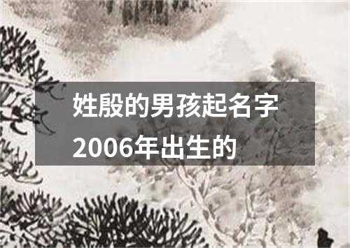 姓殷的男孩起名字2006年出生的