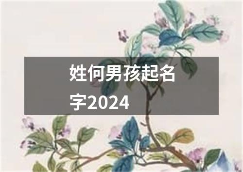 姓何男孩起名字2024