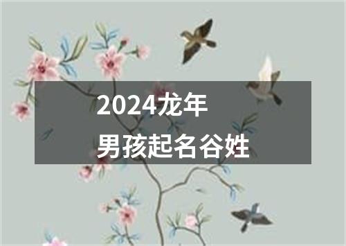 2024龙年男孩起名谷姓