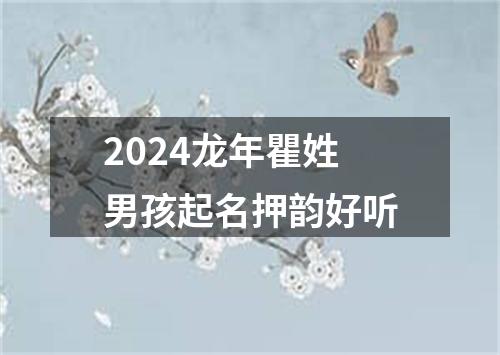 2024龙年瞿姓男孩起名押韵好听