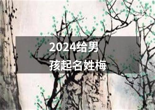 2024给男孩起名姓梅