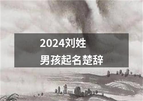 2024刘姓男孩起名楚辞