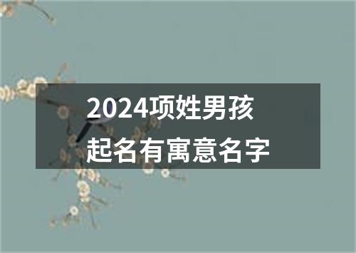 2024项姓男孩起名有寓意名字