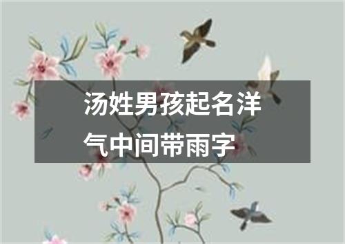 汤姓男孩起名洋气中间带雨字