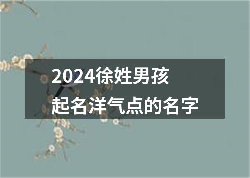 2024徐姓男孩起名洋气点的名字