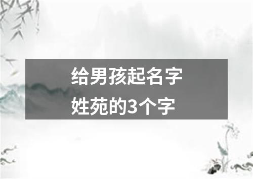 给男孩起名字姓苑的3个字