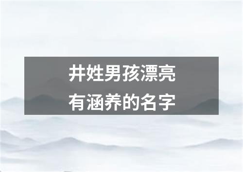 井姓男孩漂亮有涵养的名字