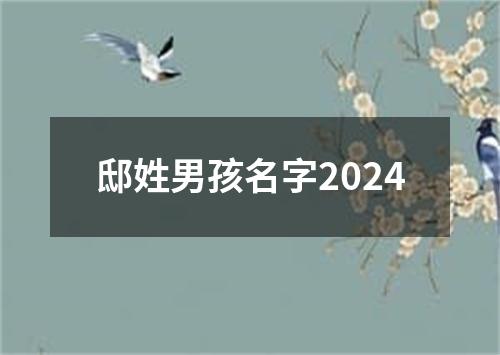 邸姓男孩名字2024