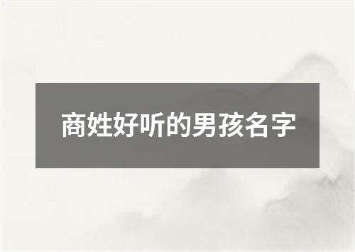 商姓好听的男孩名字