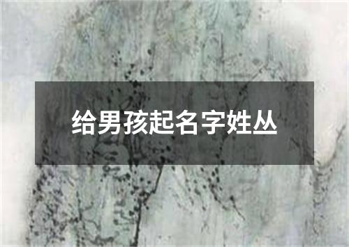 给男孩起名字姓丛