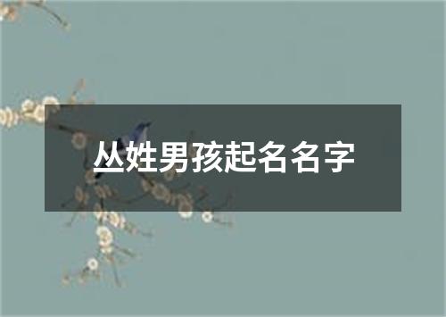 丛姓男孩起名名字