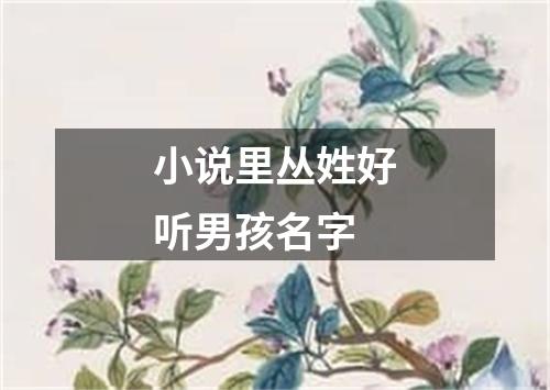 小说里丛姓好听男孩名字