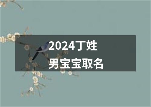 2024丁姓男宝宝取名