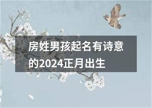 房姓男孩起名有诗意的2024正月出生