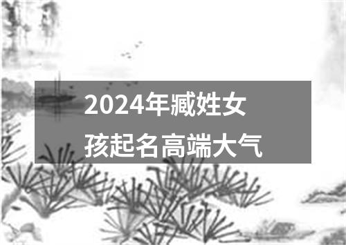 2024年臧姓女孩起名高端大气