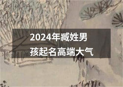 2024年臧姓男孩起名高端大气