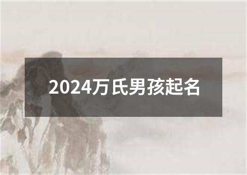 2024万氏男孩起名