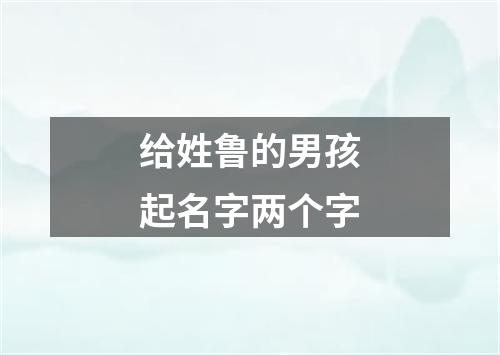 给姓鲁的男孩起名字两个字