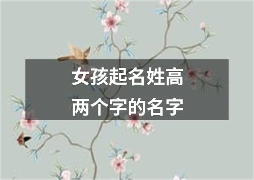 女孩起名姓高两个字的名字