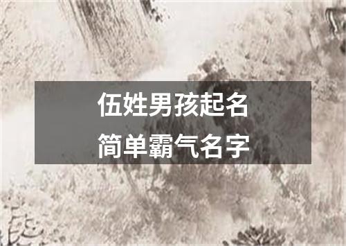 伍姓男孩起名简单霸气名字