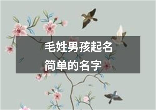 毛姓男孩起名简单的名字