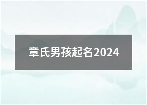 章氏男孩起名2024