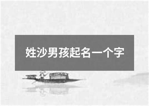 姓沙男孩起名一个字