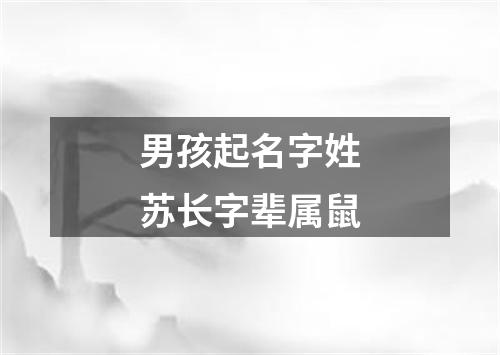 男孩起名字姓苏长字辈属鼠