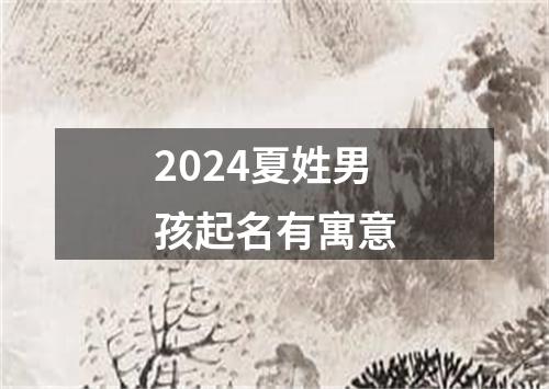 2024夏姓男孩起名有寓意