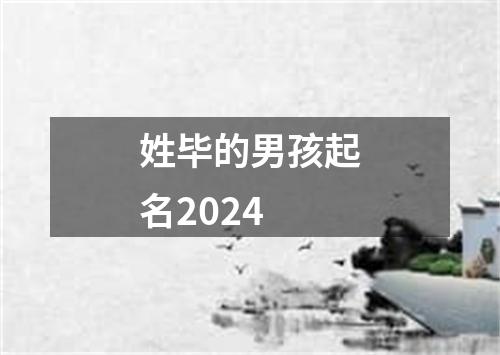 姓毕的男孩起名2024