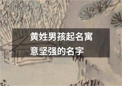 黄姓男孩起名寓意坚强的名字