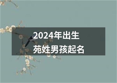 2024年出生苑姓男孩起名