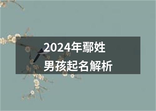 2024年鄢姓男孩起名解析