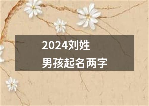 2024刘姓男孩起名两字