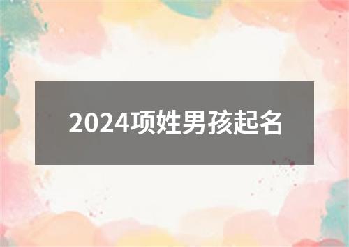 2024项姓男孩起名