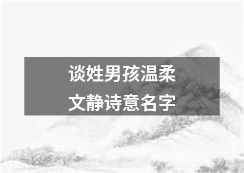 谈姓男孩温柔文静诗意名字