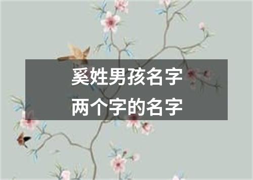 奚姓男孩名字两个字的名字