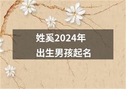 姓奚2024年出生男孩起名