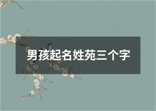 男孩起名姓苑三个字