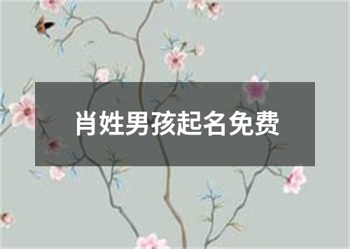 肖姓男孩起名免费