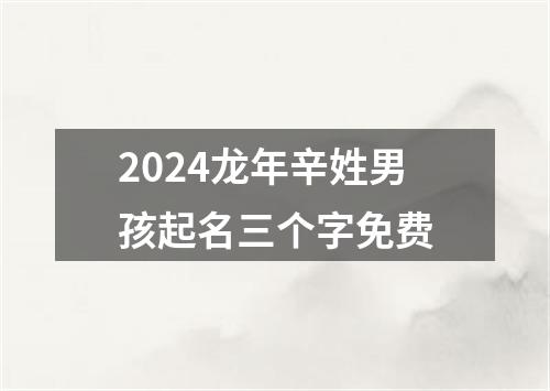 2024龙年辛姓男孩起名三个字免费