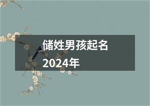 储姓男孩起名2024年